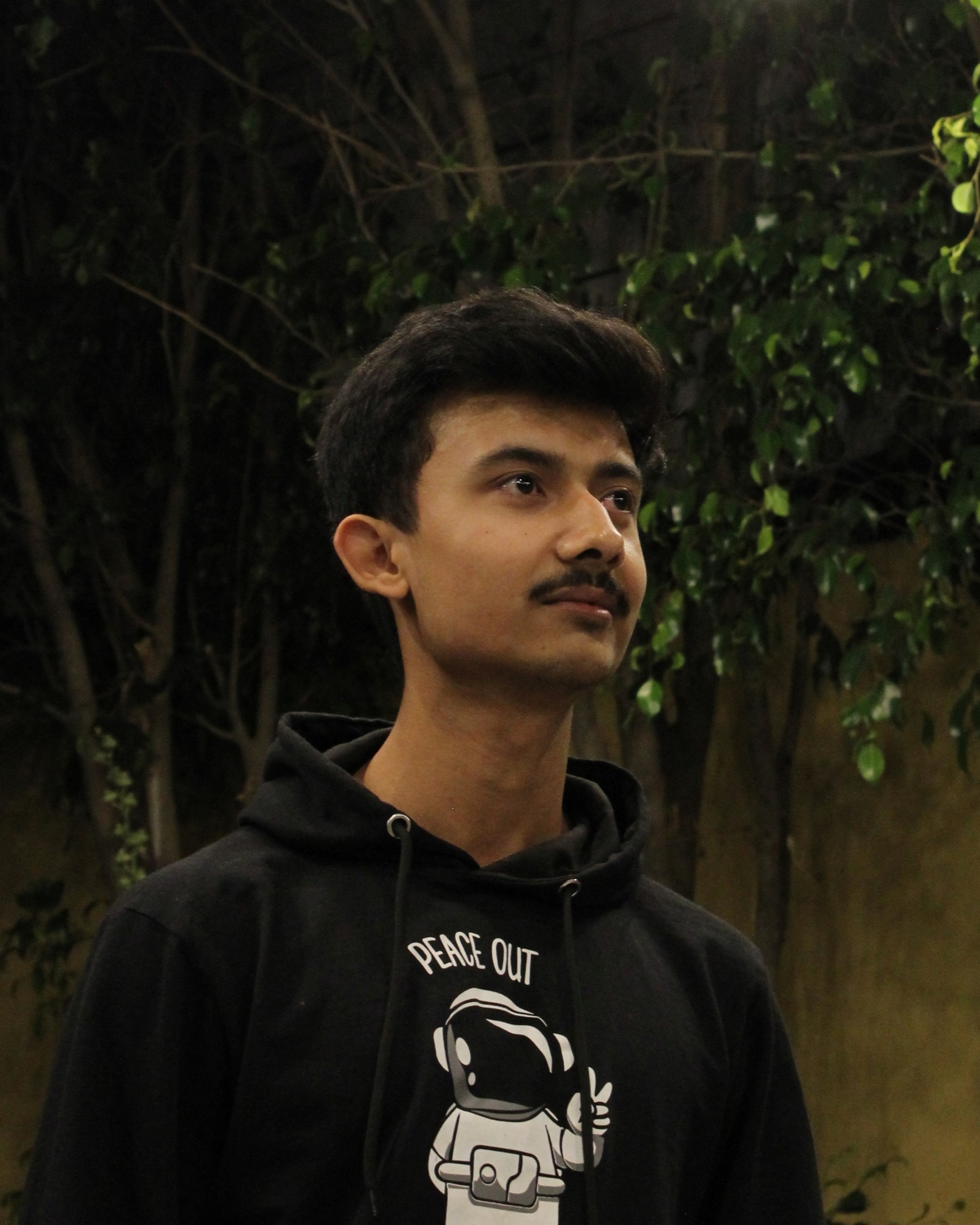 aluminiphoto